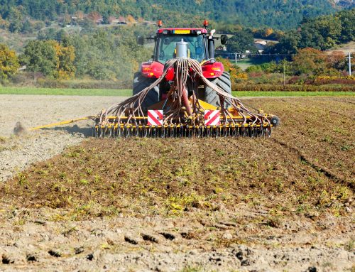 Ayudas destinadas a inversiones en explotaciones agrarias en Álava para 2024