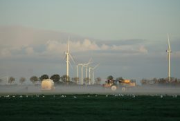 Ayudas a explotaciones agropecuarias en Navarra